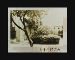 圖說四十年 我市文化活動日益豐富，文藝創作亮點頻現