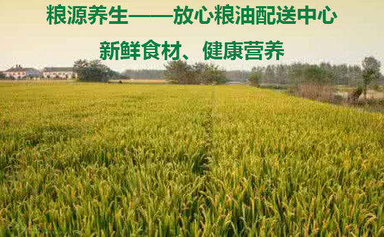 深到你身邊 深圳首家糧油送貨到家，品質(zhì)生活從餐桌開始